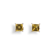 Aretes Elia Citrino